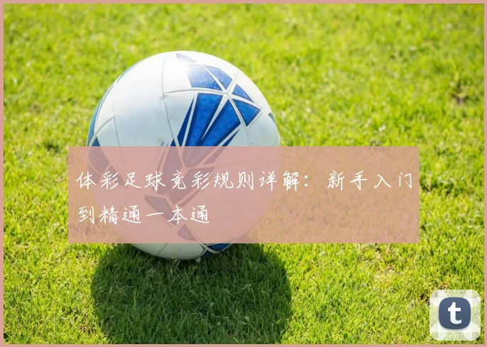 体彩足球竞彩规则详解:新手入门到精通一本通