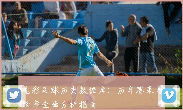 竞彩足球历史数据库:历年赛果与赔率全面分析指南