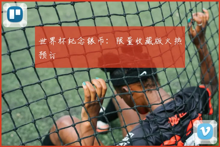 世界杯纪念银币：限量收藏版火热预订