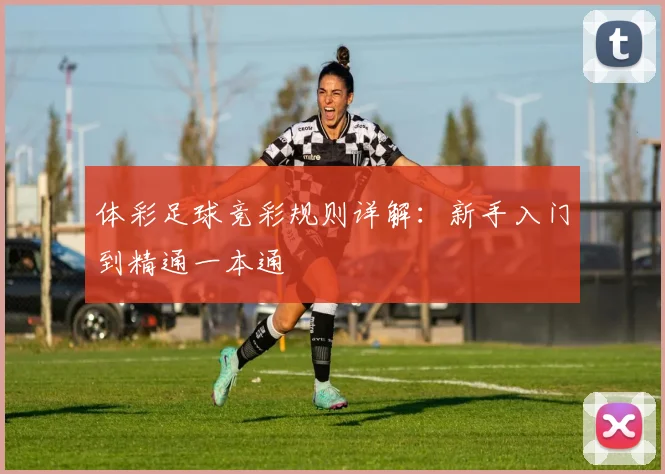 体彩足球竞彩规则详解:新手入门到精通一本通